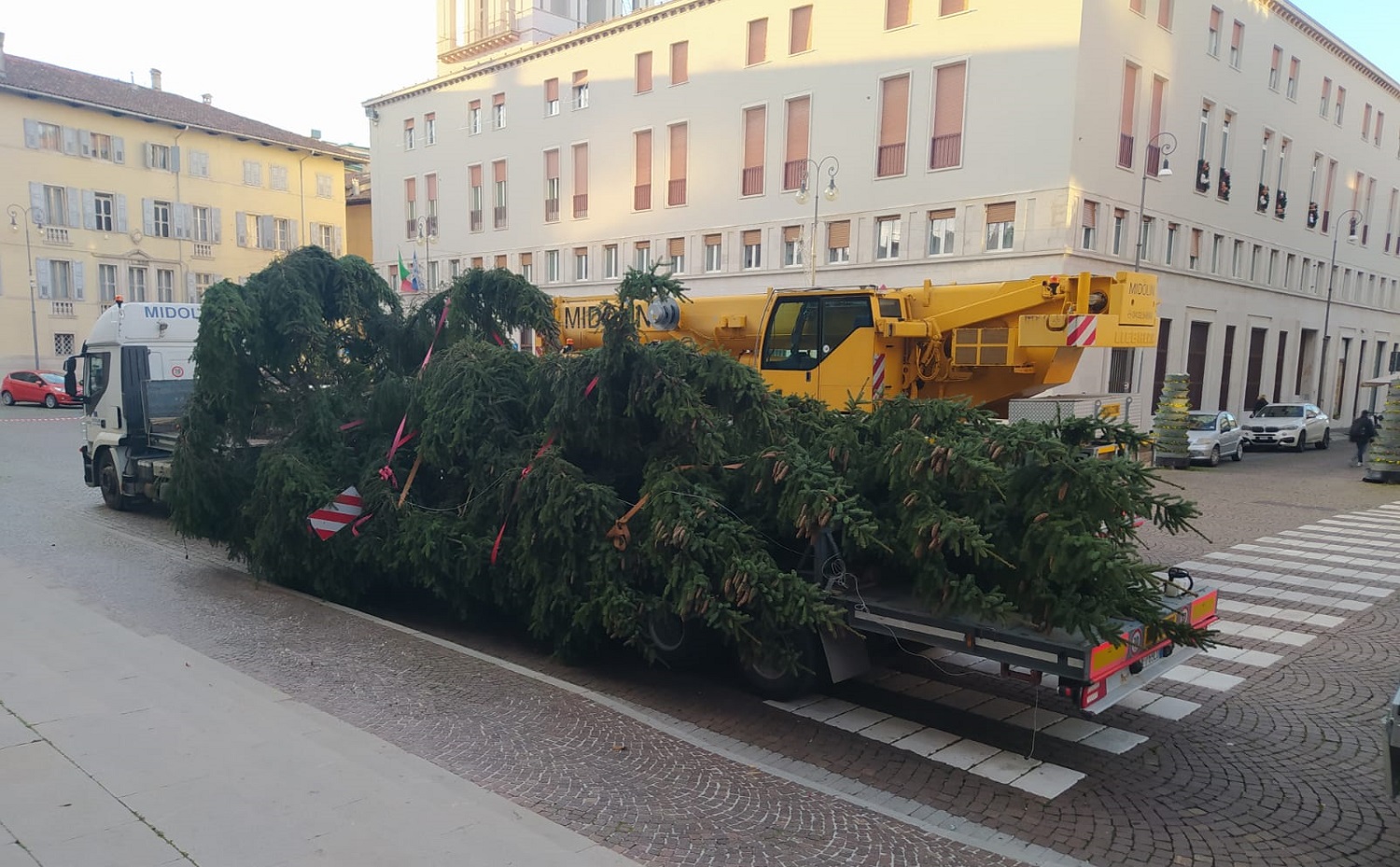 Udine Arrivato L Albero Di Natale Per Abbellire Piazza Duomo